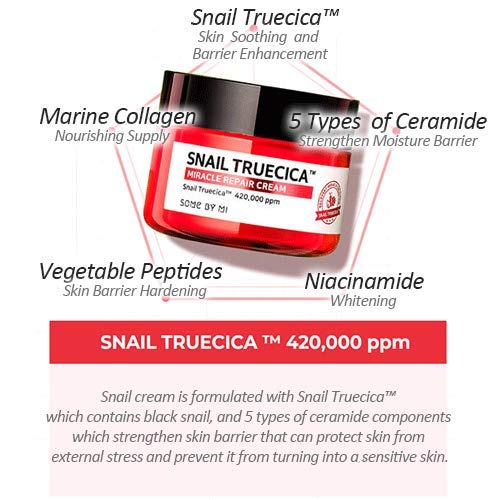 Some By Mi Snail Truecica Miracle Repair Starter Kit